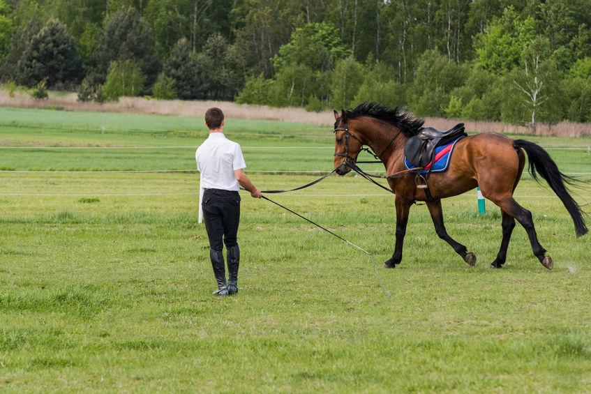 Jockey training a race horse outdoors