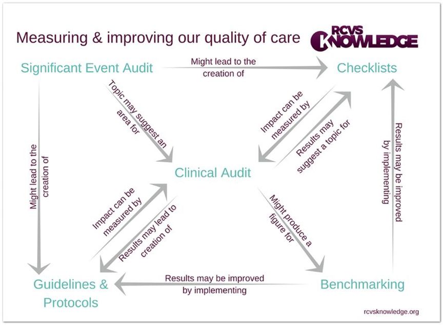 Image for Quality improvement and audits in clinical practice