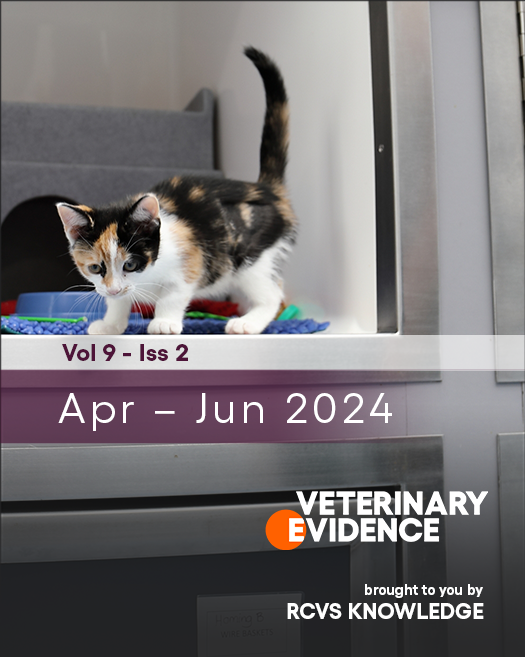issue cover image