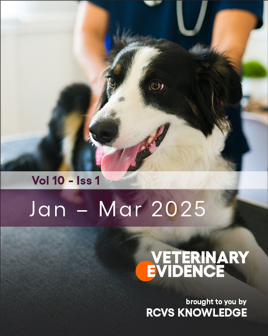 issue cover image